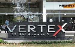 Vertex (D14), Factory #187294812